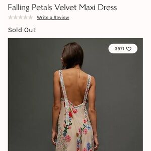NWT Falling Petals Velvet Maxi - Free People
